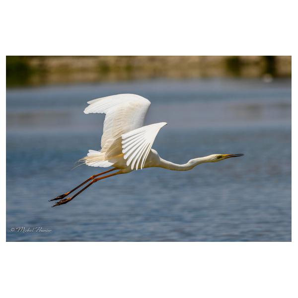 PHOTO84, CLUB, 84 , LUBERON